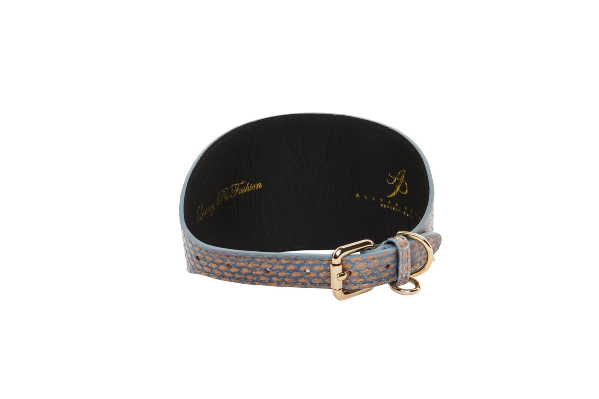 Curved baby blue snake-patterned pet collar with bronze buckle and black inner lining, displayed against a white background.