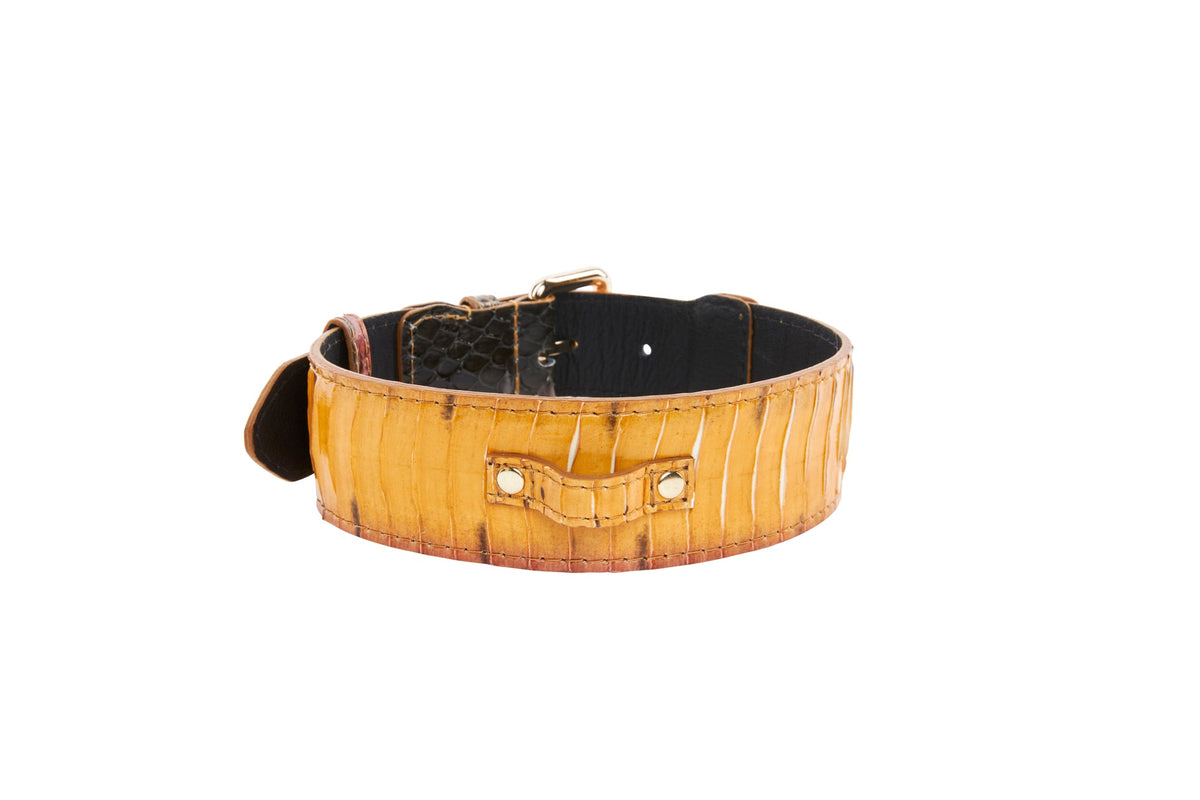 Mustard yellow snakeskin belt featuring gold buckle and hardware, with visible natural scale texture and a curved shape shown on a white background.
