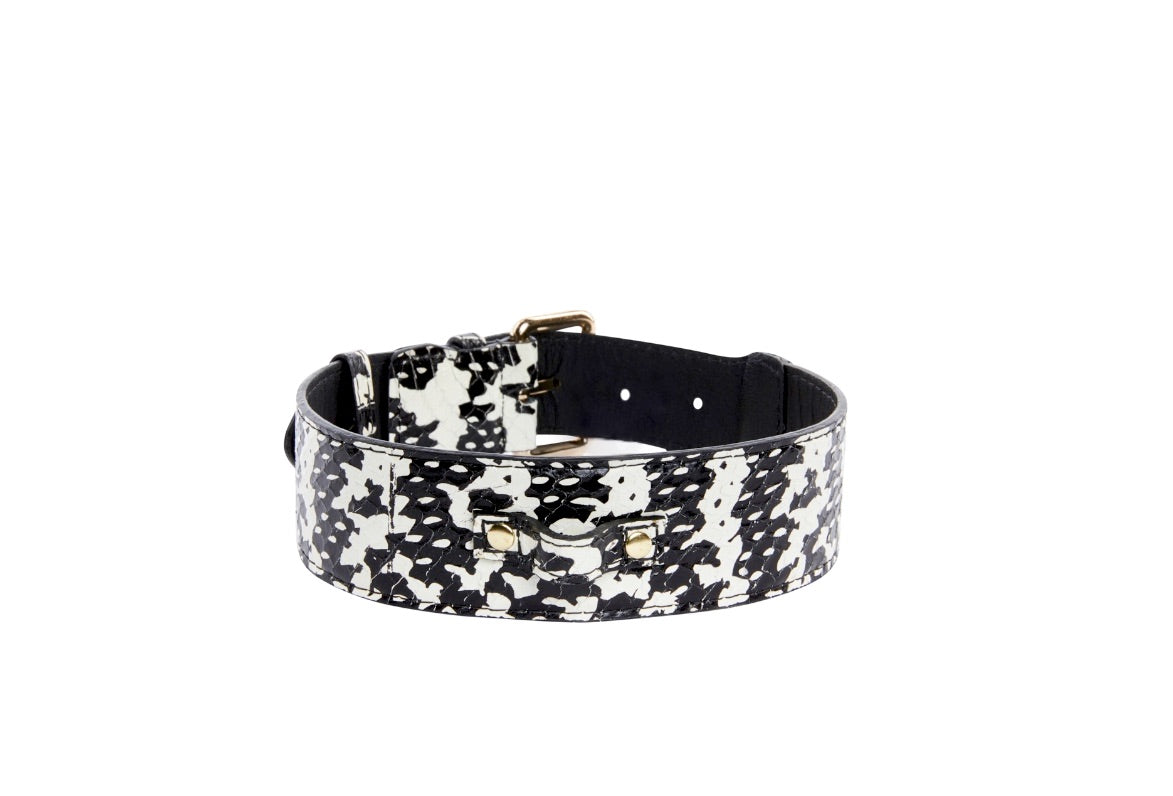 Black and white snake-patterned collar with classic gold buckle and hardware, shown from a slight side angle on a white background.