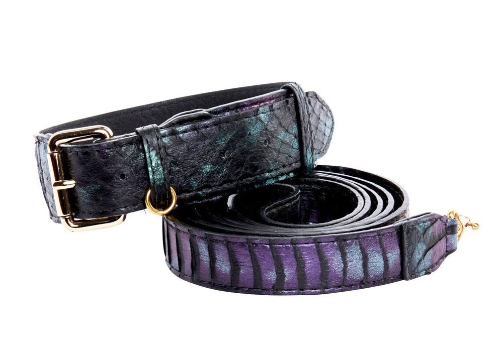 Black and green textured snake-patterned collar paired with a coiled purple and black striped snake-patterned leash with gold hardware