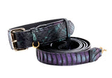 Black and green textured snake-patterned collar paired with a coiled purple and black striped snake-patterned leash with gold hardware