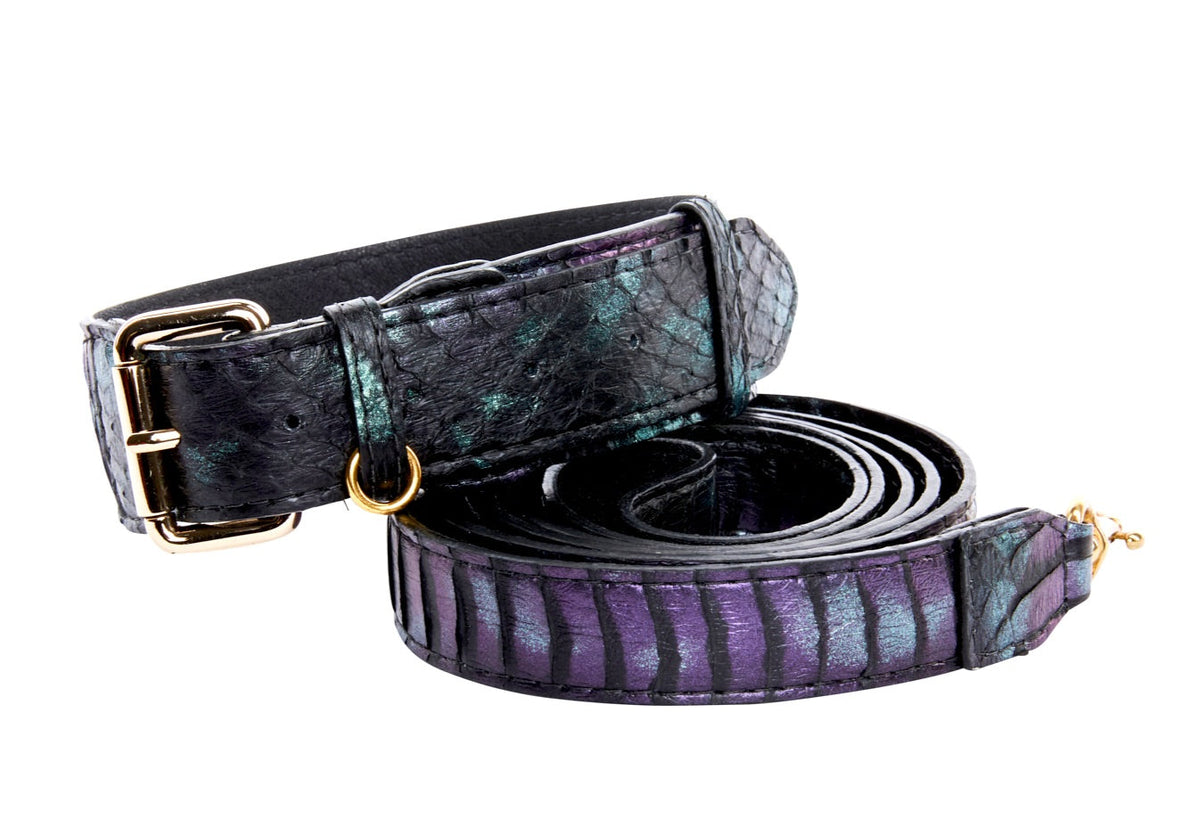 Black and green textured snake-patterned collar paired with a coiled purple and black striped snake-patterned leash with gold hardware