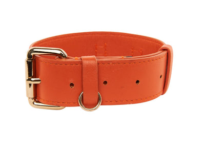 Small Orange Italian Leather Classic Collar by Allysa Payne Beverly Hills - main product image for Resin Society