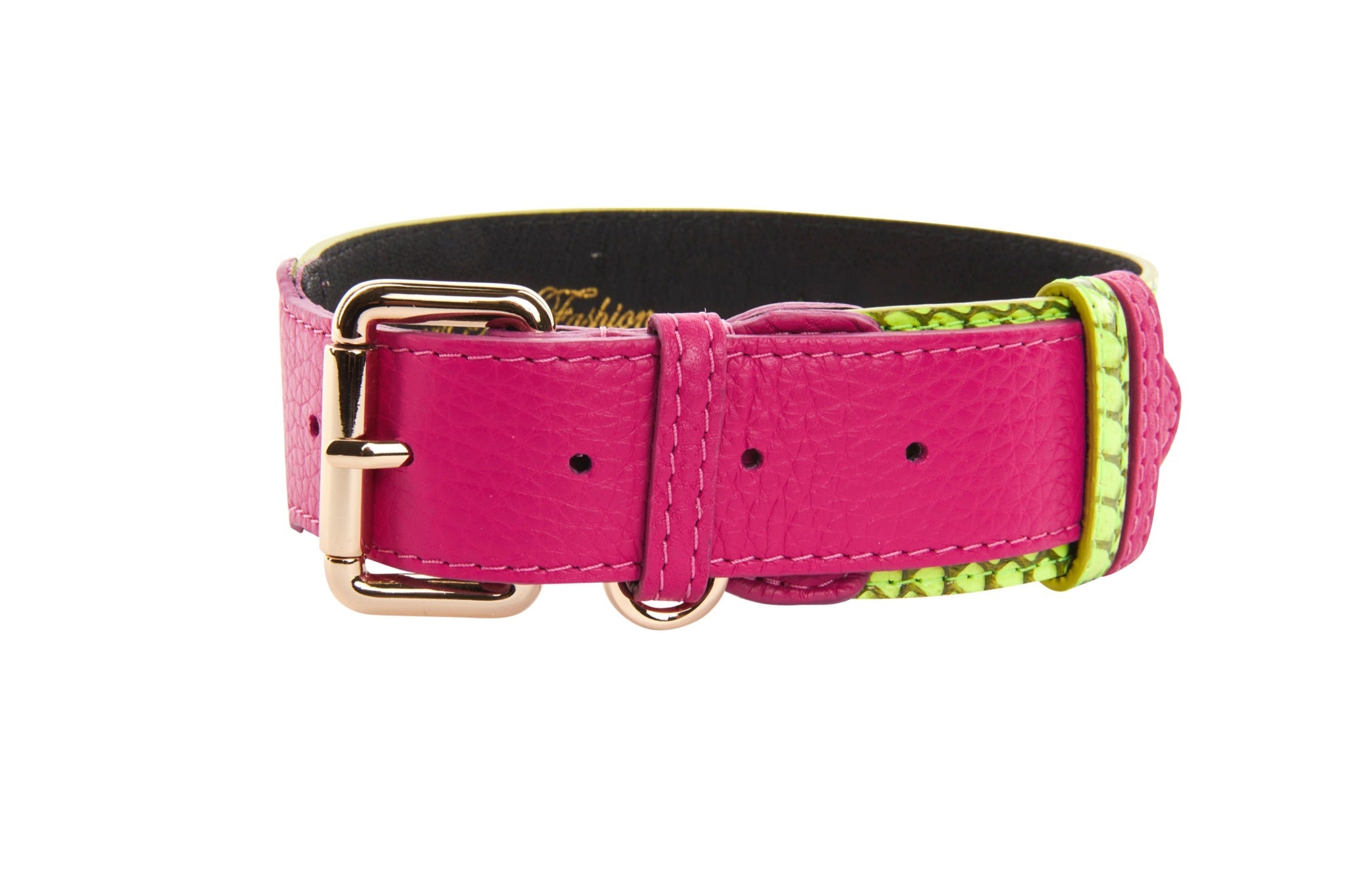 Neon Green Snake With Fuchsia Pink Italian Leather With Gold Classic by Allysa Payne Beverly Hills - main product image for Resin Society