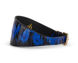 Wide collar with black and royal blue snake pattern and gold buckle, shown in side view on white background.