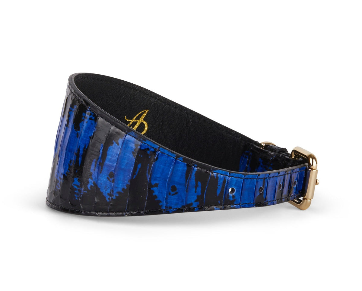 Wide collar with black and royal blue snake pattern and gold buckle, shown in side view on white background.