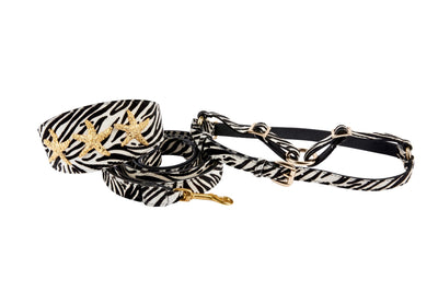 Zebra print dog collar, leash, and harness set with gold starfish detailing displayed on neutral background