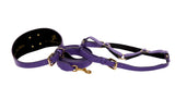 Purple leather collar, leash, and harness set featuring custom large gold rivets and hardware, displayed on a white background.