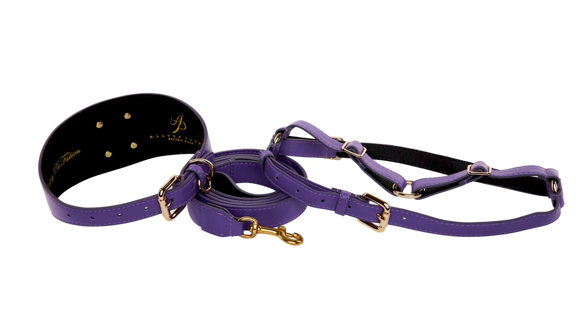 Purple Italian Leather 3” Wide Style Collar, With Custom Large Gold Rivet, Leash & Harness Set