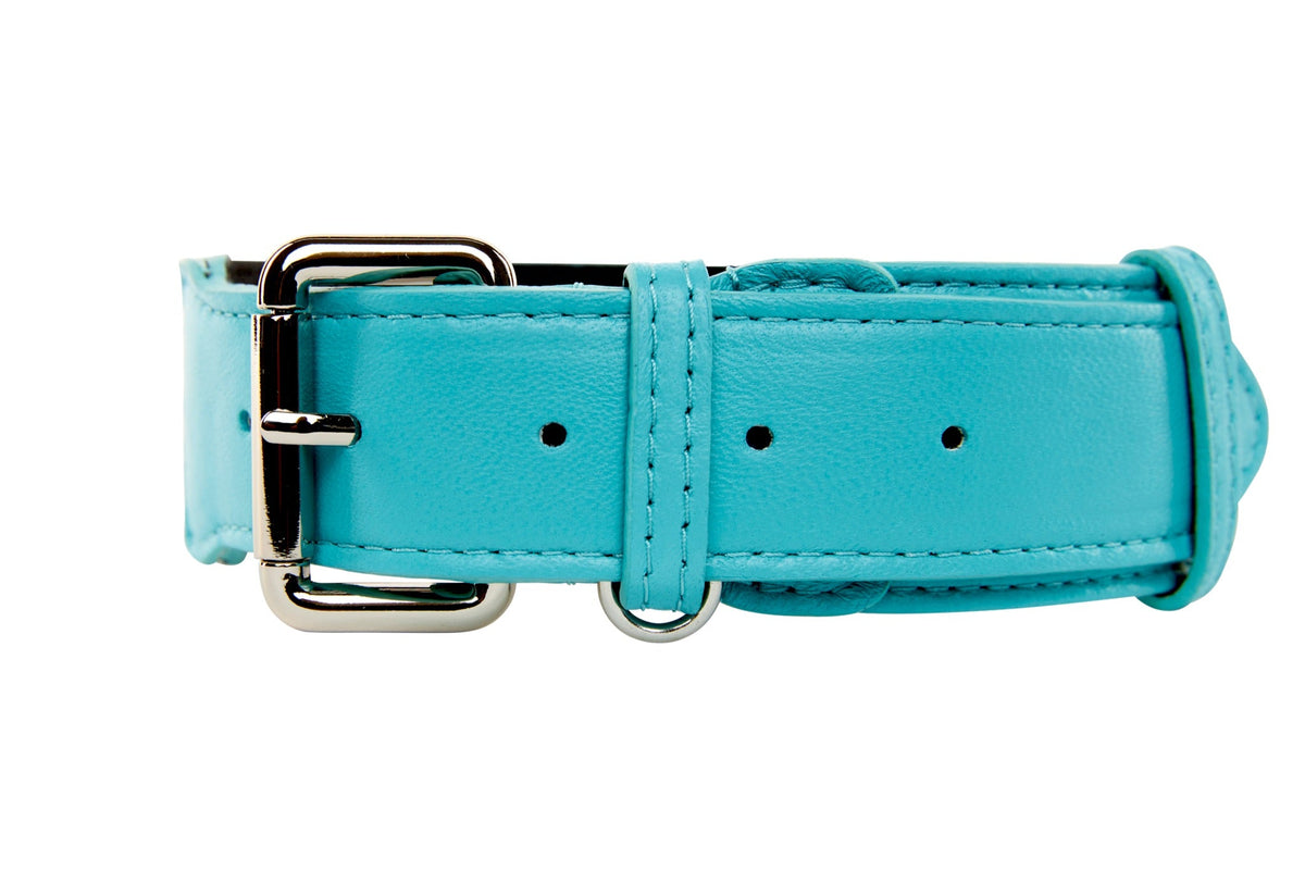 Turquoise blue leather dog collar with silver metal buckle and D-ring, shown flat on white background.