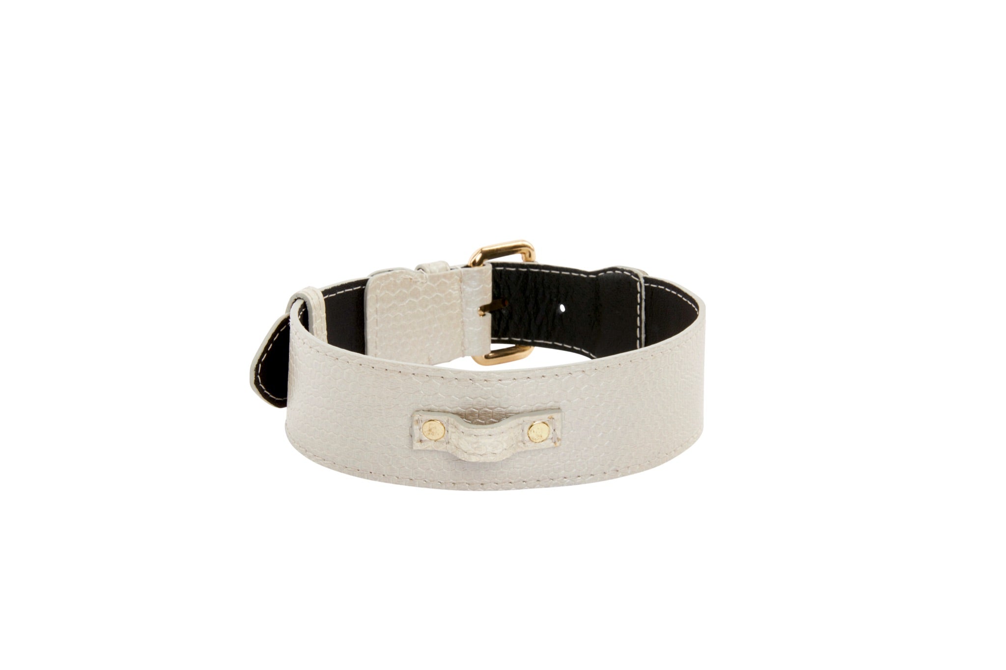 Iridescent Off White Snake Collar With Gold Classic Hardware by Allysa Payne Beverly Hills - product image 2 for Resin Society