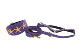Purple Italian leather dog collar, leash, and harness set with custom gold starfish detail