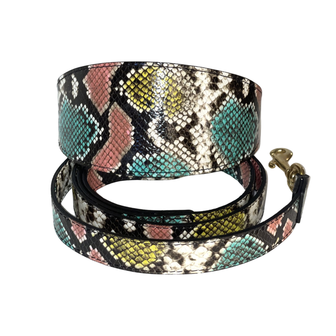 Multi-color embossed snake pattern Italian leather collar and leash set featuring teal, pink, yellow, and cream tones with a gold metal clasp on the leash.