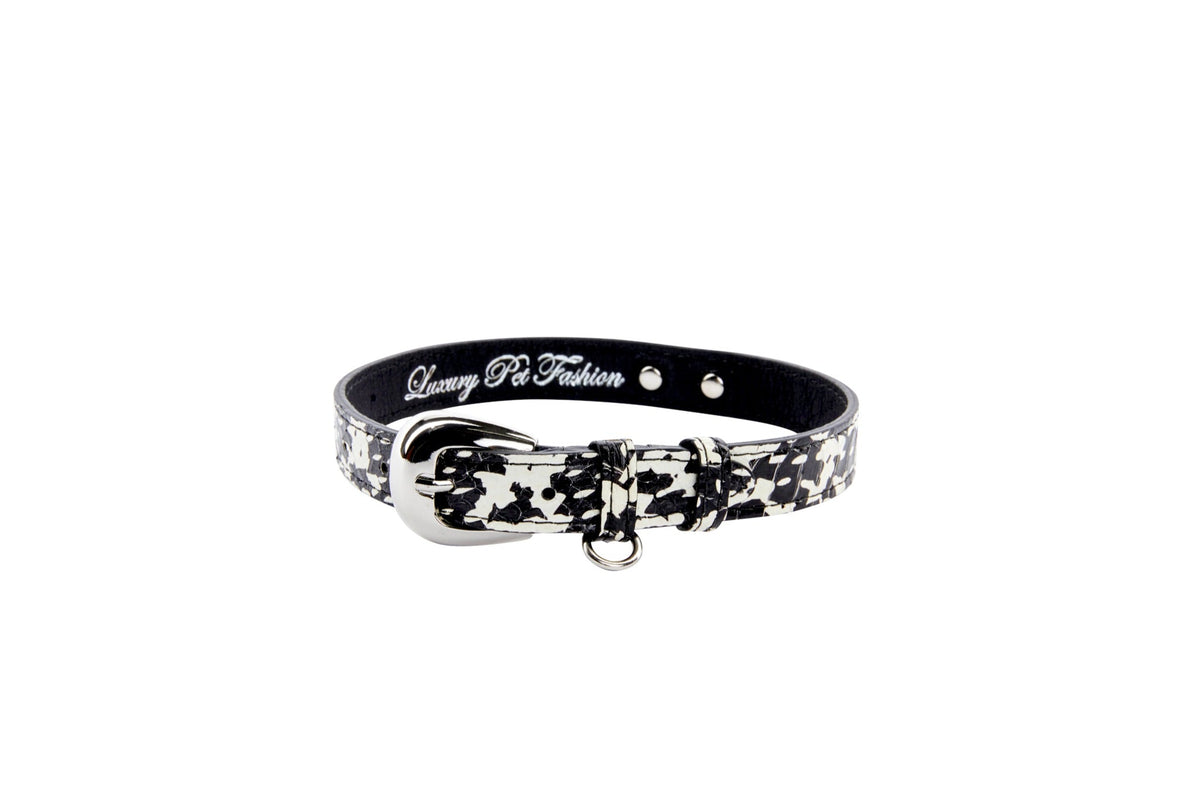 Black and white patterned snake collar with silver oval buckle hardware and a small ring, shown in a circular shape on a white background.