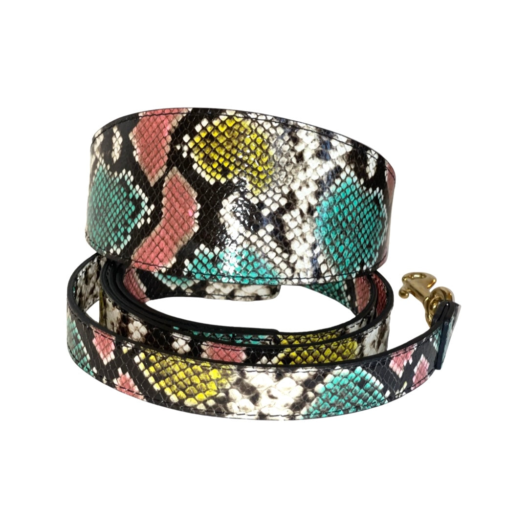 Multi-color embossed snake pattern Italian leather collar and leash set, 3 inches wide
