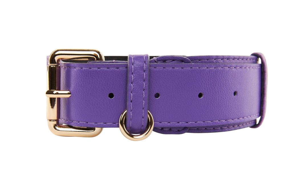 Close-up of a vibrant purple leather collar with gold-tone buckle and D-ring, showcasing smooth texture and detailed stitching on a white background.