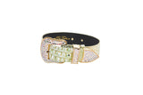 Green and gold embossed crocodile-patterned Italian leather pet collar with a large gold buckle encrusted with clear Swarovski crystals, shown against a white background.