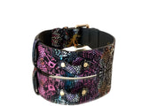 Black leather pet collar with multicolored floral lace pattern and gold-toned classic buckle hardware, shown in a curved position.