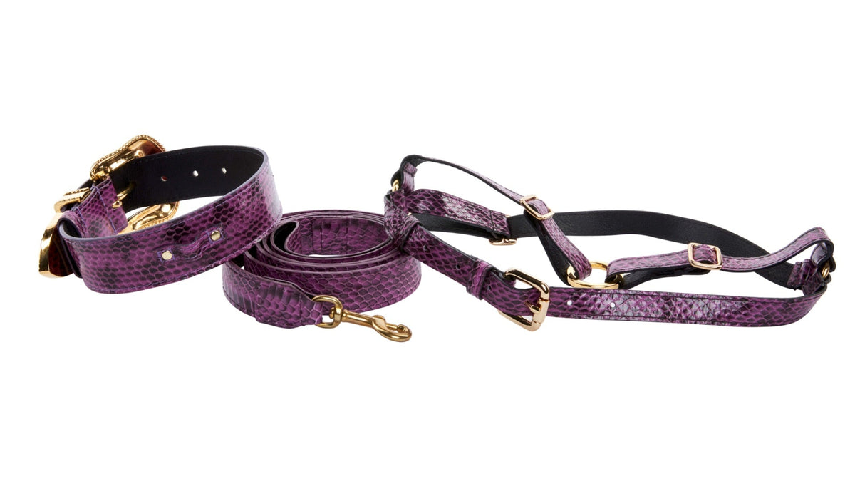 Purple and black snake-patterned collar, matching leash, and adjustable harness with gold-tone hardware, displayed against a white background.