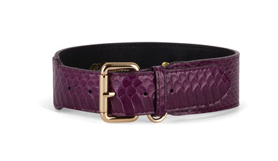 Eggplant Purple Snake Classic Collar with gold finish laid flat