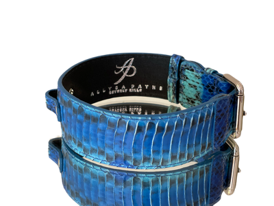 Luxury Pet Fashion Blue/Turquoise Snakeskin Collar with Classic Silver Hardware