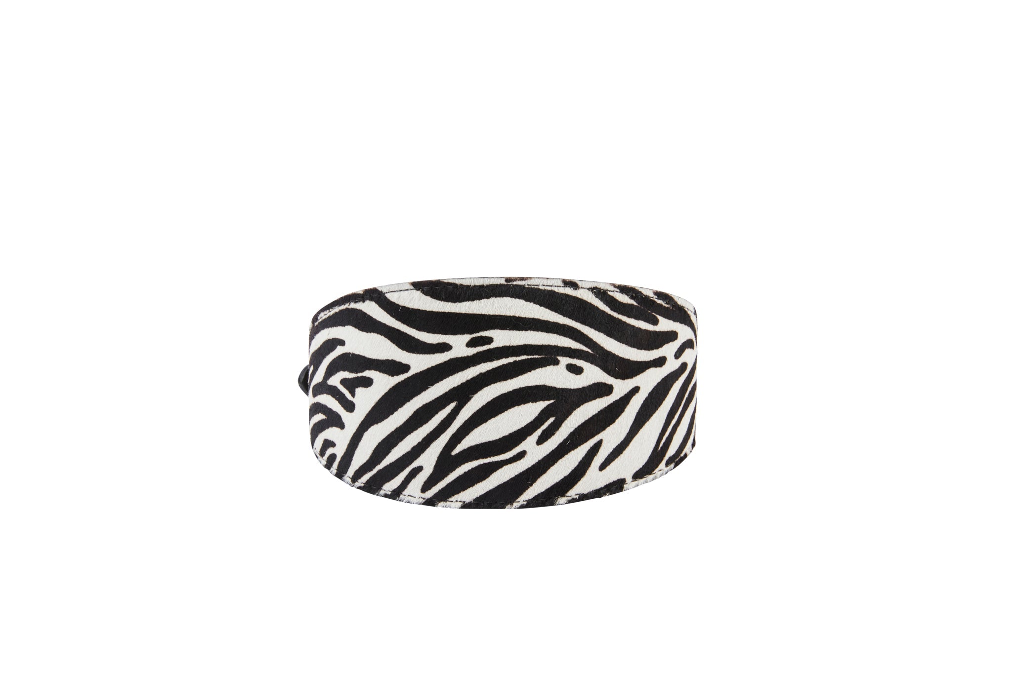 Zebra Print Hair On Hide Italian Leather Collar with metal buckle on a white background