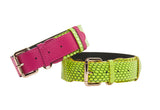 Two overlapping dog collars, one solid fuchsia pink leather, the other neon green snake-patterned leather, both with gold-tone buckles and loops.