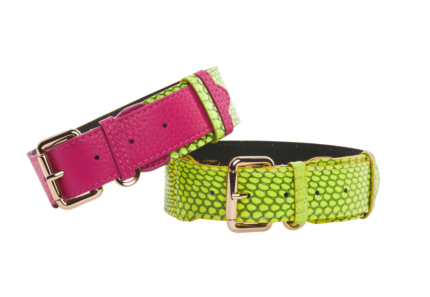 Fuchsia Pink Italian/Neon Green Snake Classic Collar & Neon Green Snake by Allysa Payne Beverly Hills - main product image for Resin Society