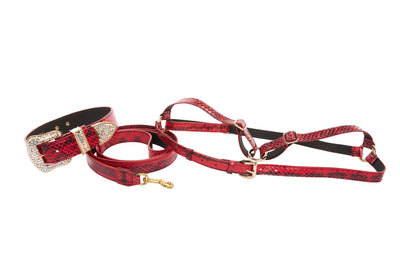 XL Red & Black Snake, Swarovski Crystal Collar Leash Harness Set by Allysa Payne Beverly Hills - main product image for Resin Society