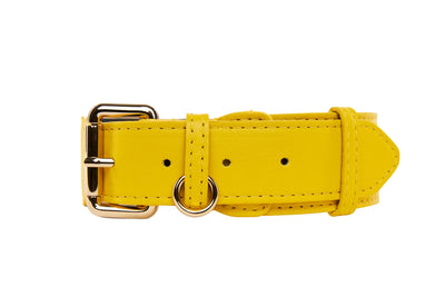 Yellow Italian Leather Classic Collar/Gold Classic Hardware by Allysa Payne Beverly Hills - product image 2 for Resin Society