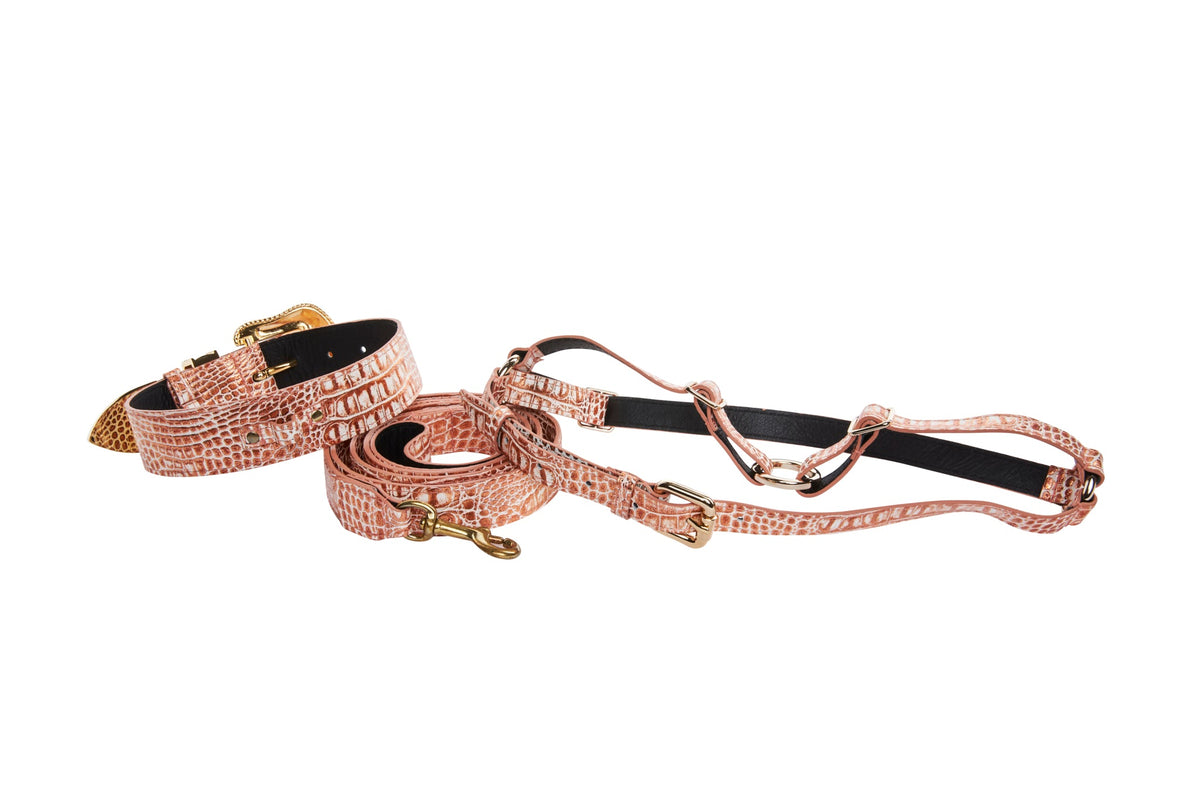 Copper-colored croc-embossed leather dog collar, leash, and harness set with gold hardware and Swarovski crystal embellishments on white background.