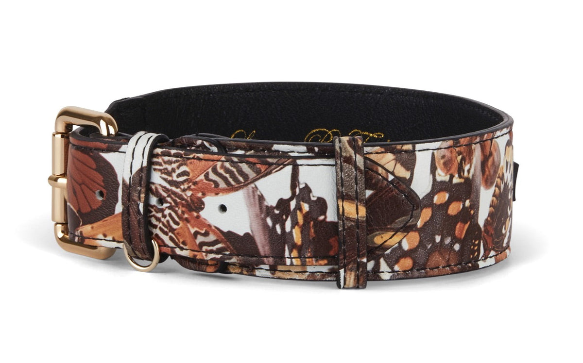 Classic collar featuring Italian leather with detailed butterfly wing print in shades of brown, black, and orange, accented by a polished gold buckle.