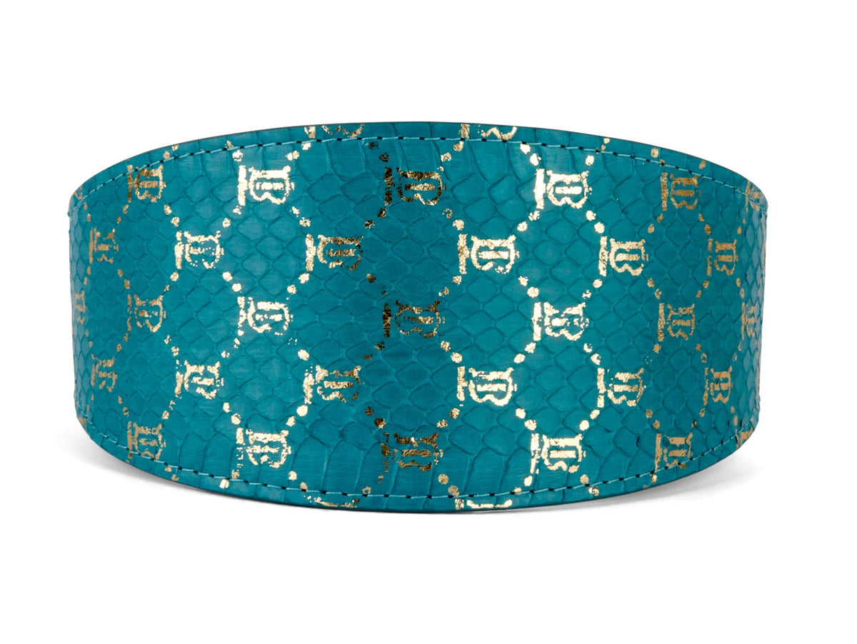 Teal and gold 3-inch wide style collar with monogram snake design by Allysa Payne Beverly Hills