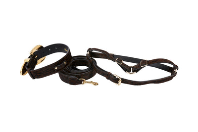 Dark Leopard Hair On Hide Italian Leather by Allysa Payne Beverly Hills - product image 2 for Resin Society