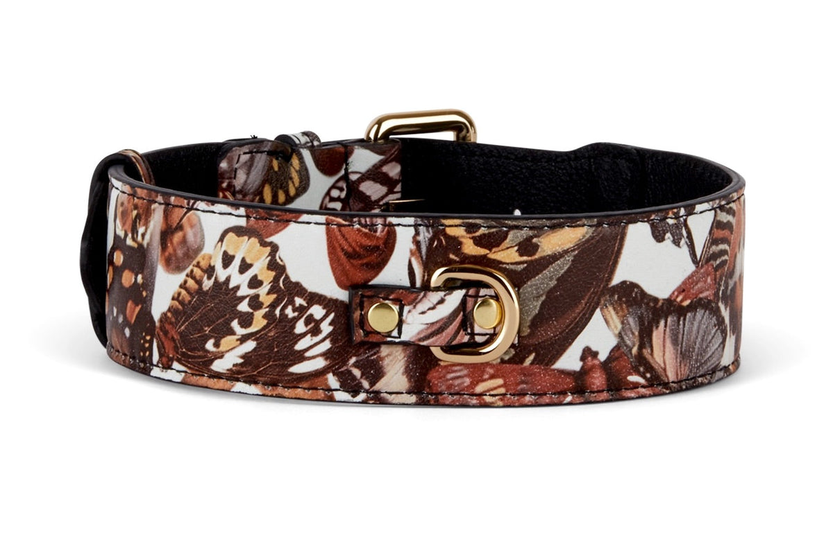Brown and cream butterfly-patterned leather dog collar with gold-tone metal buckle and D-ring on black leather backing.