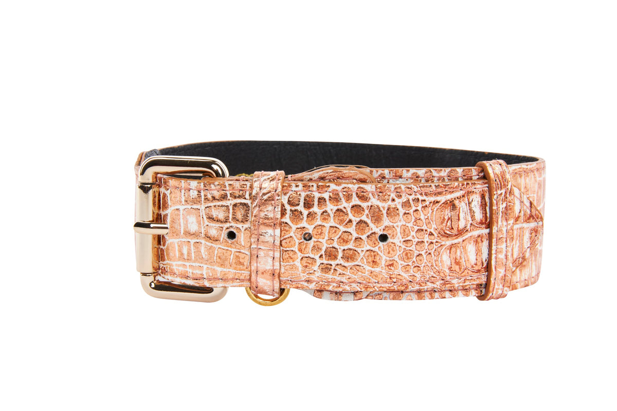 Copper-colored crocodile-embossed Italian leather collar with gold metal buckle and D-ring, interior black lining, shown against white background.