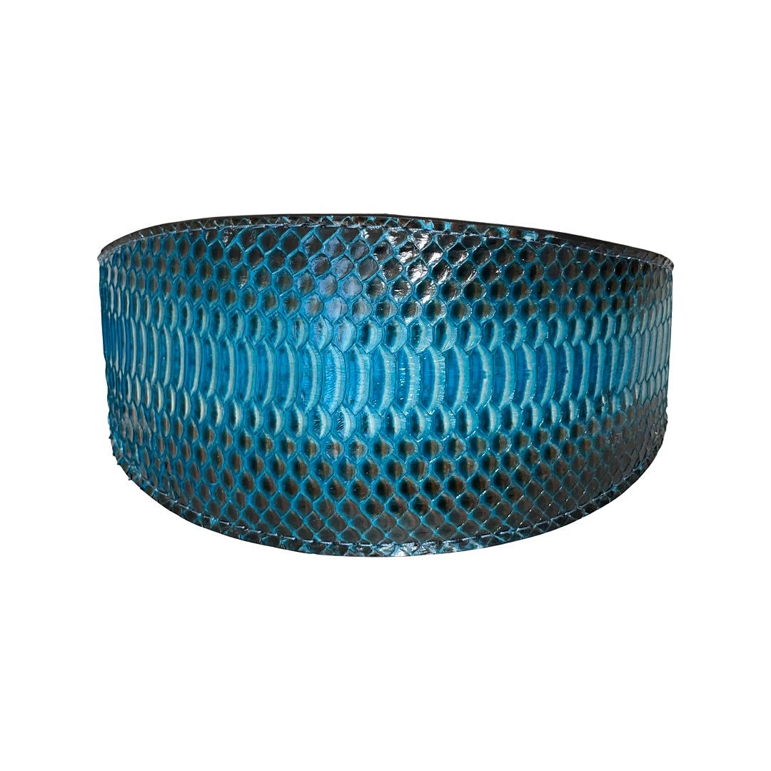 Turquoise and black snake patterned collar by Allysa Payne Beverly Hills, displayed flat showing width and pattern details