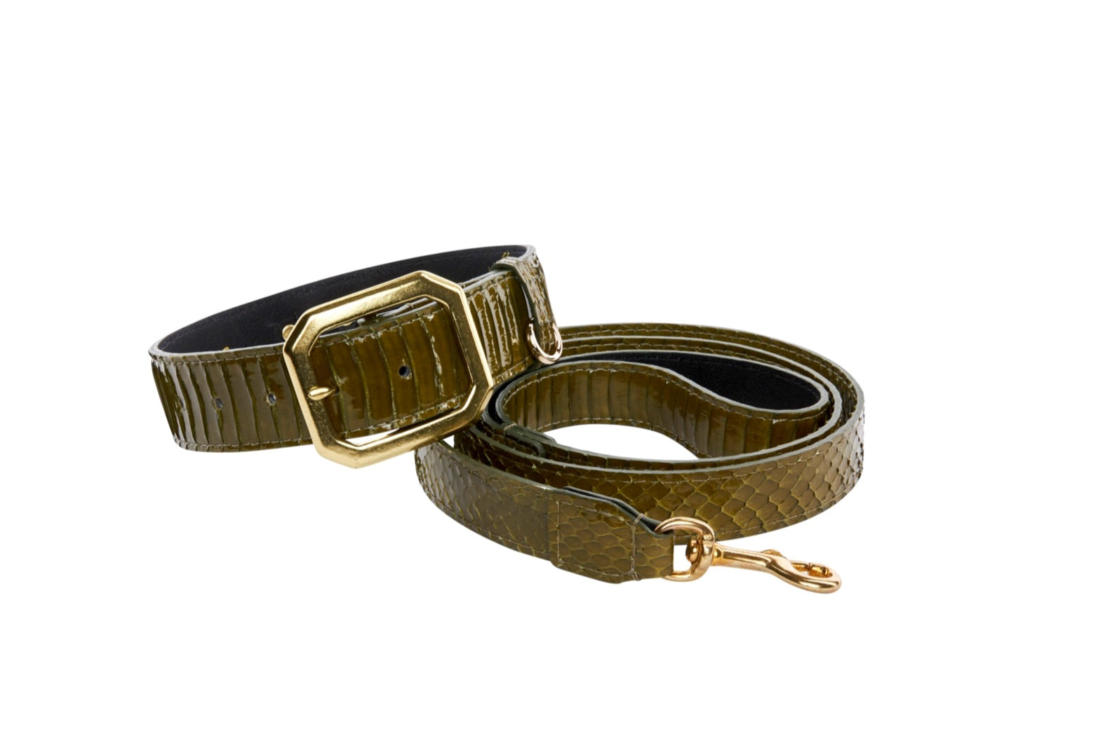 Olive Green Snake Collar & Leash Set by Allysa Payne Beverly Hills - main product image for Resin Society