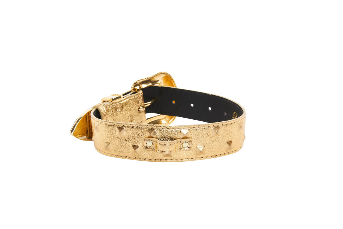 Gold leather pet collar with gold studs and a buckle, shown in a partial loop on a white background.