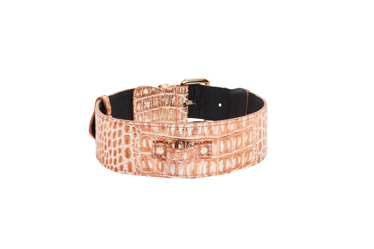 Copper-colored crocodile-embossed Italian leather dog collar with a black inner lining and gold-toned buckle and rivets, shown in a curved position.