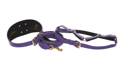Purple Italian Leather 3” Wide Style Collar with Custom Gold Starfish, Leash & Harness Set