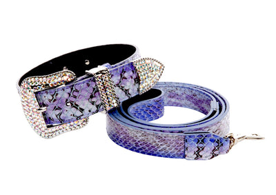 Purple, silver, and black iridescent snake pattern collar and leash with Swarovski crystals
