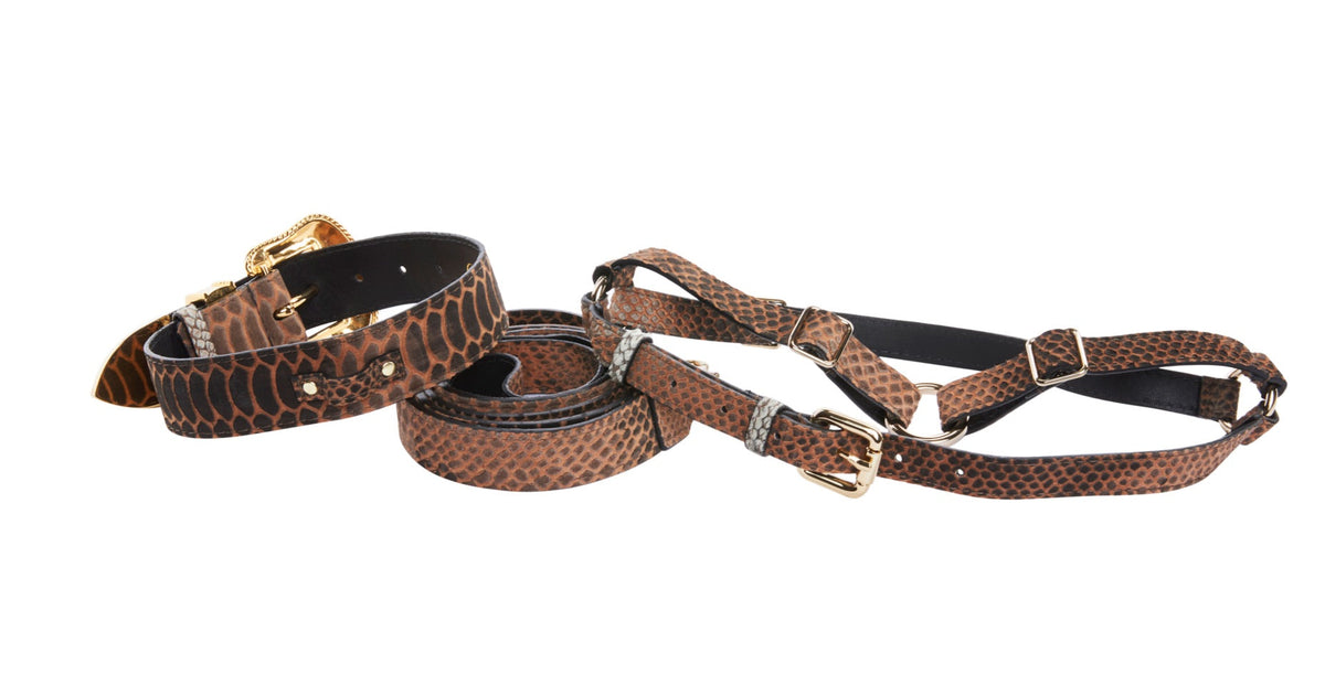 Brown/Black Embossed Snake Italian Leather Collar With Swarovski by Allysa Payne Beverly Hills - product image 2 for Resin Society