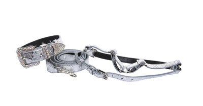 Silver Studded Italian Leather Swarovski Crystal Collar