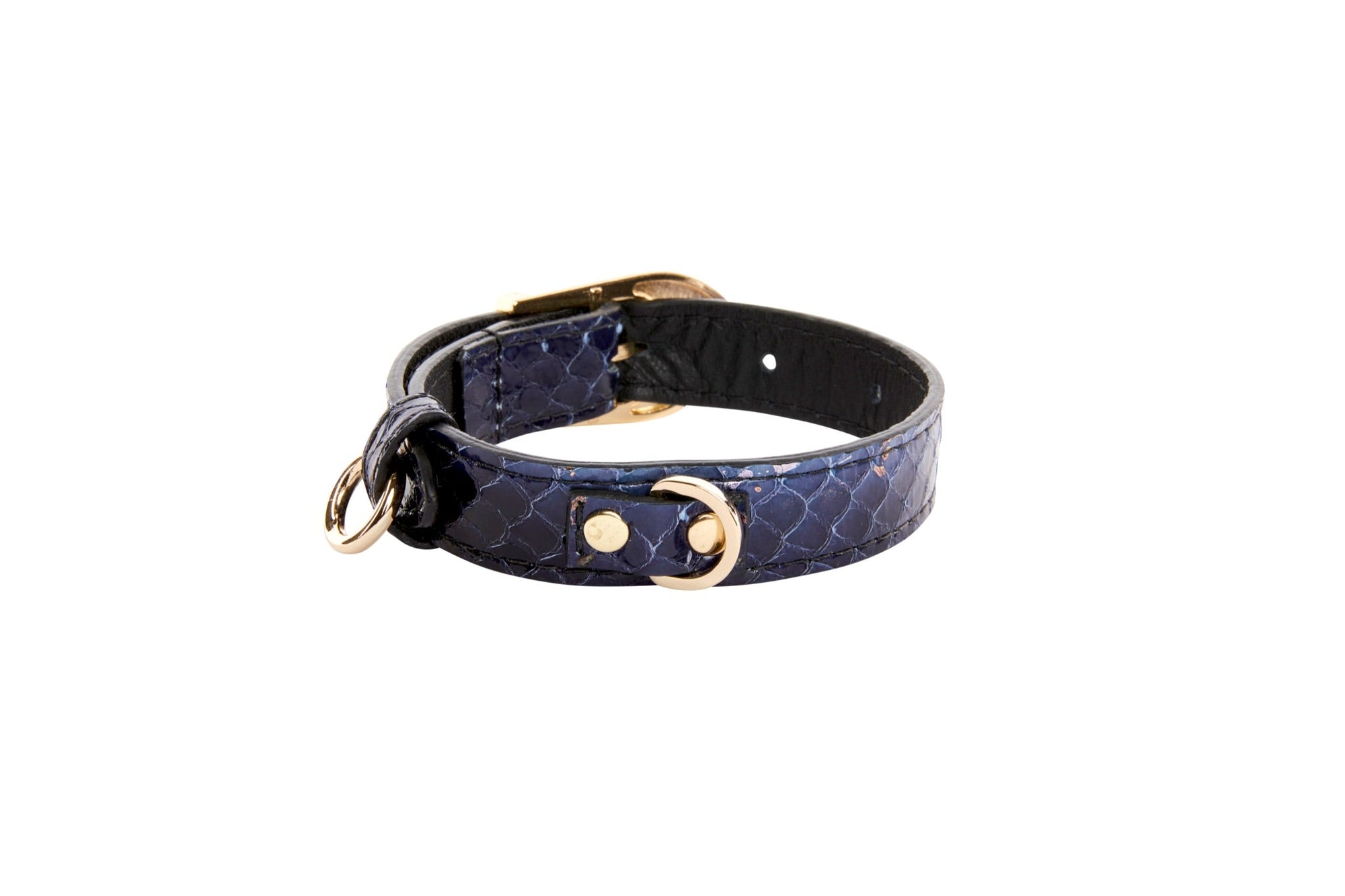 XS Blue Snake Collar With Gold Vintage Inspired Hardware
