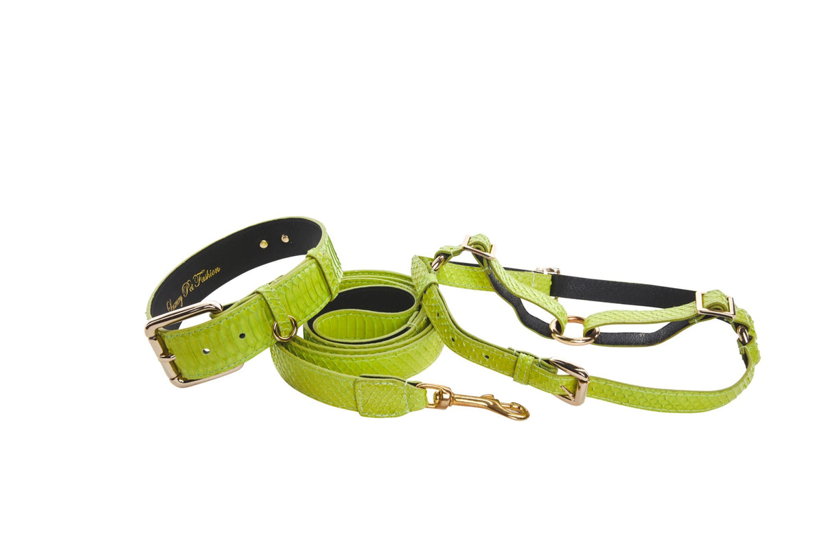 Neon Green Snake Collar, Leash & Harness Set by Allysa Payne Beverly Hills - main product image for Resin Society