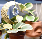 Hammered brass crescent moon hanging with a faceted teardrop crystal suncatcher in front of leafy houseplants in terracotta pots.