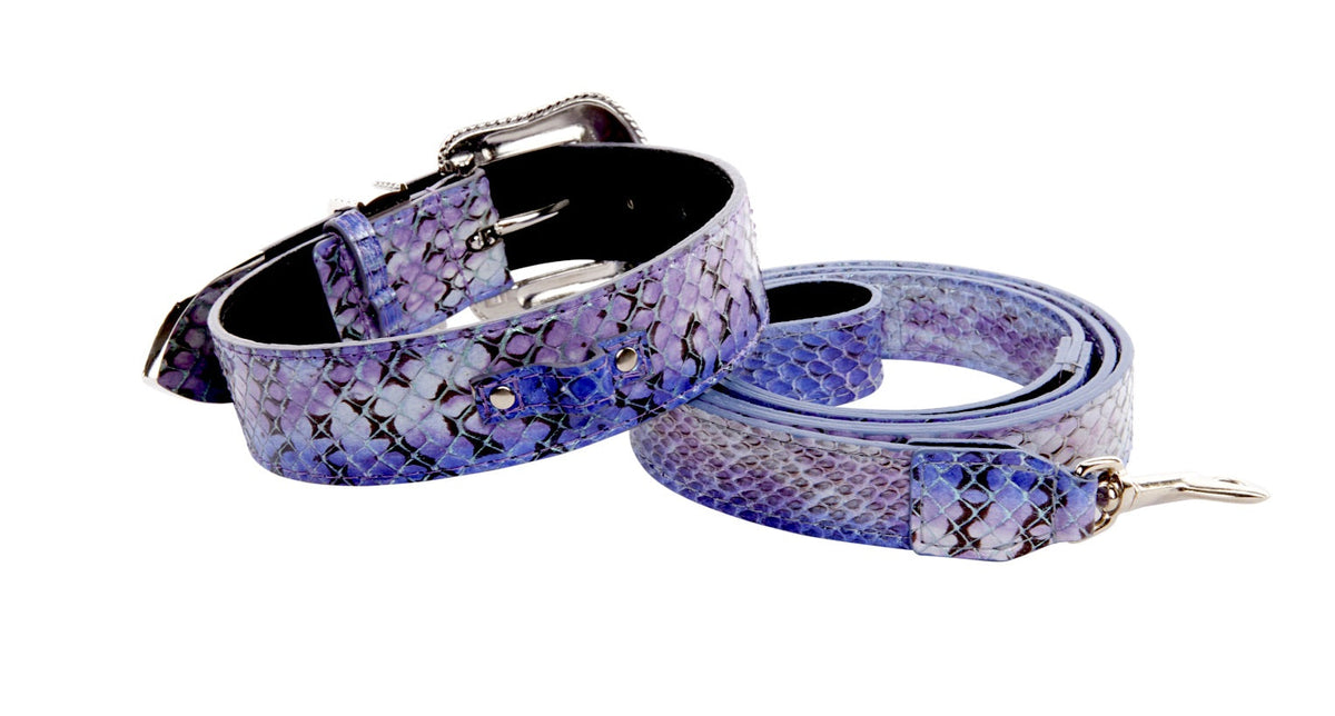 Purple and silver iridescent snake-patterned dog collar and leash set with black backing and silver hardware including buckle and clasp, laid on white background.