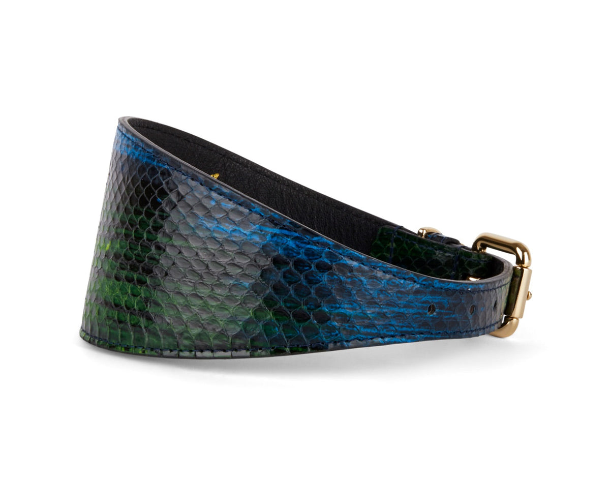Curved 3-inch wide snake-patterned collar in blue, green, black, and yellow tones with a shiny finish and gold buckle.