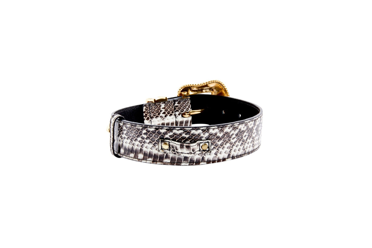 Black and white viper snake print collar with gold hardware, including a buckle and clasp accented by Swarovski crystals, shown against white background.